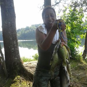 Meet your Posher, Deneen